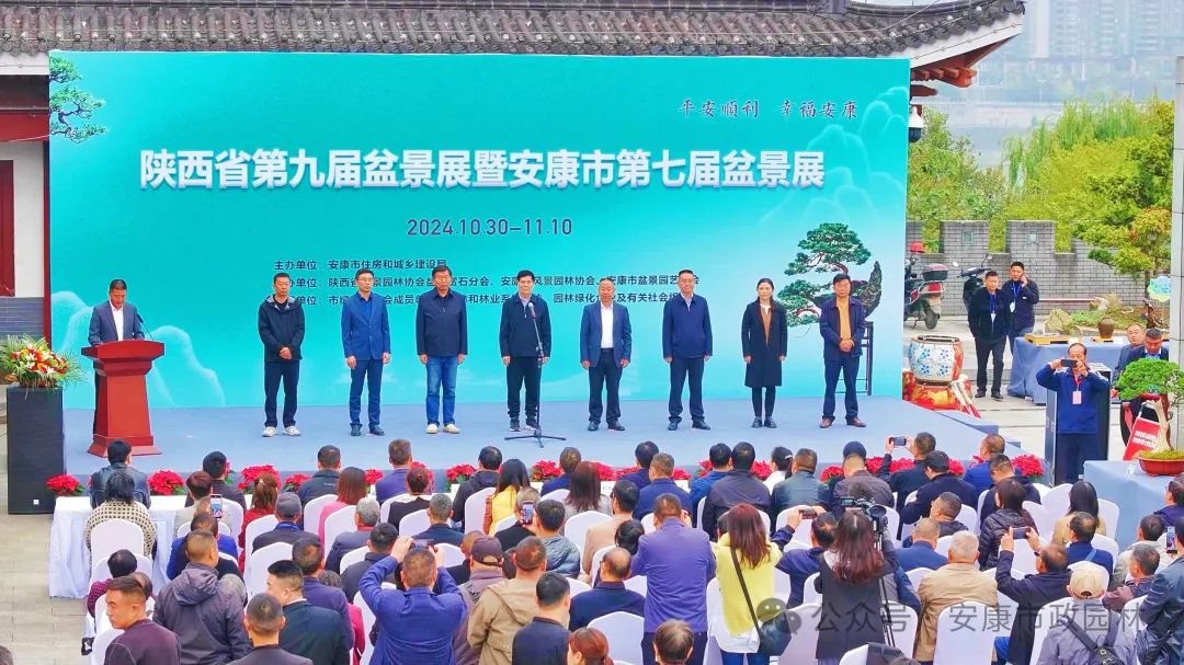 新闻